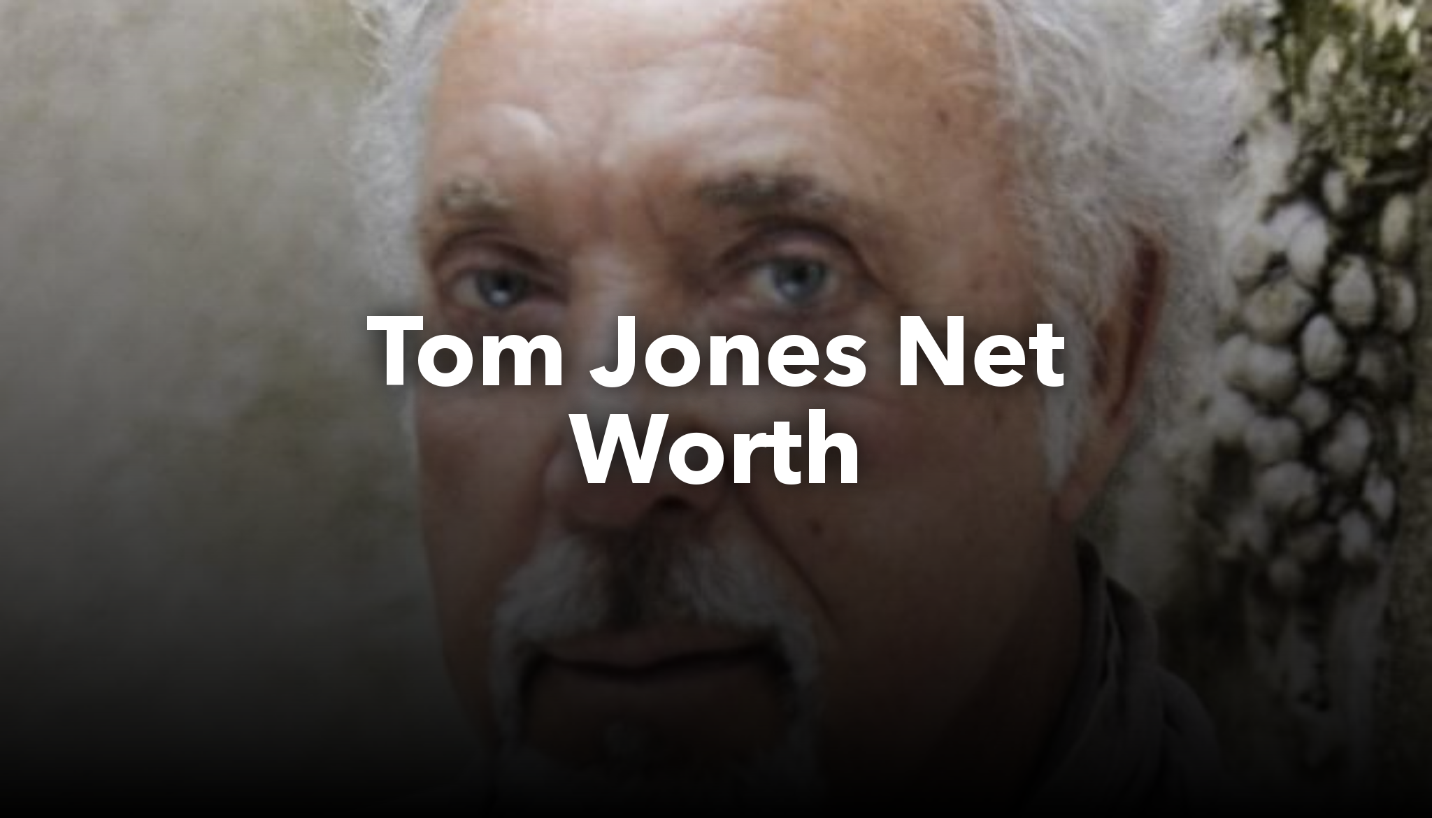 Tom Jones Net Worth nichesss